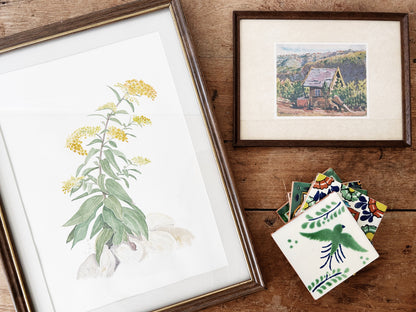 1980’s Original Watercolor Painting Goldenrod