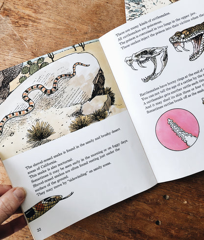 Vintage 1970s Natural History Book Set