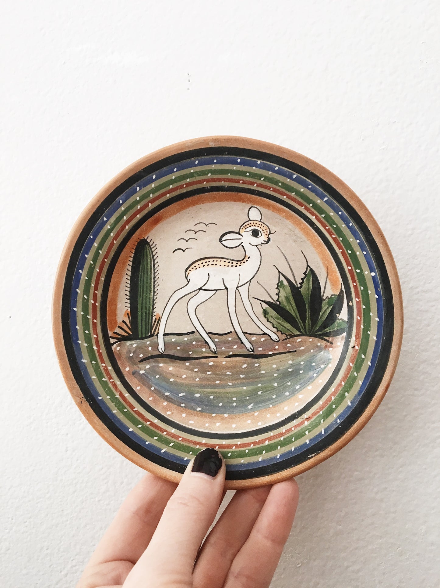 Hand Painted Clay Plates
