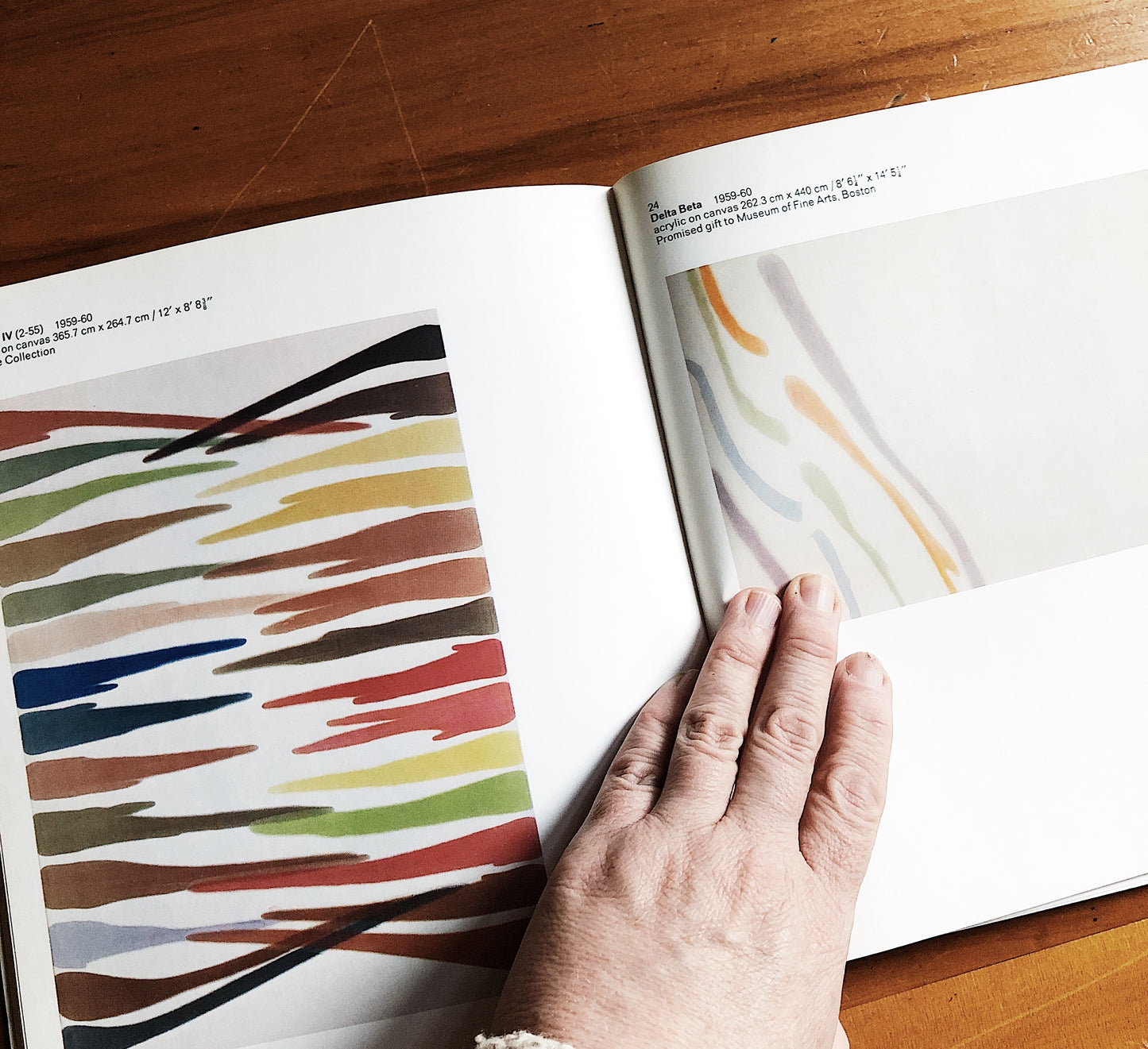Vintage Morris Louis Retrospective Art Book