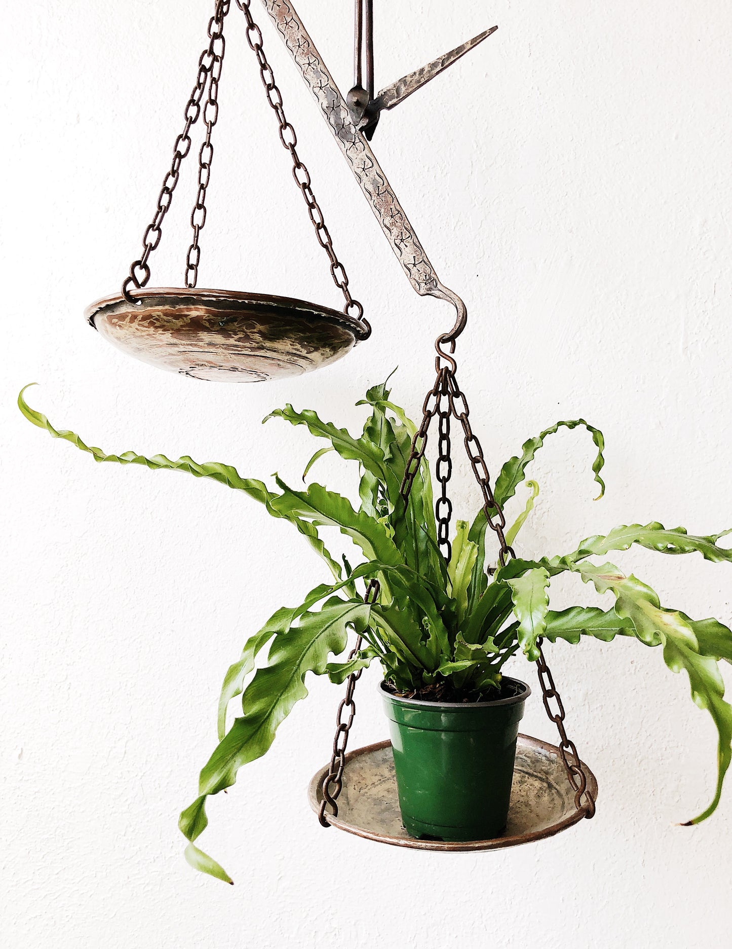 Antique Brass Scale
