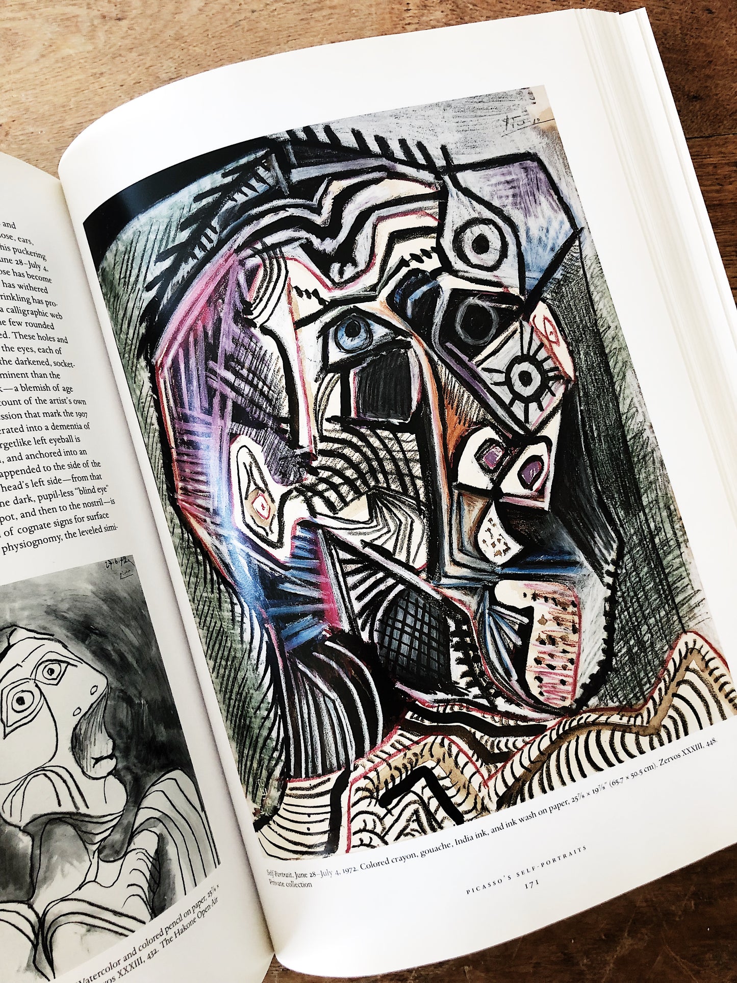 Picasso and Portraiture Book