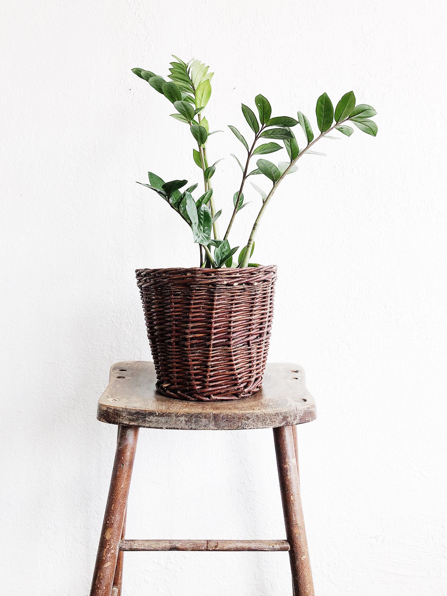 Vintage Primitive Stool