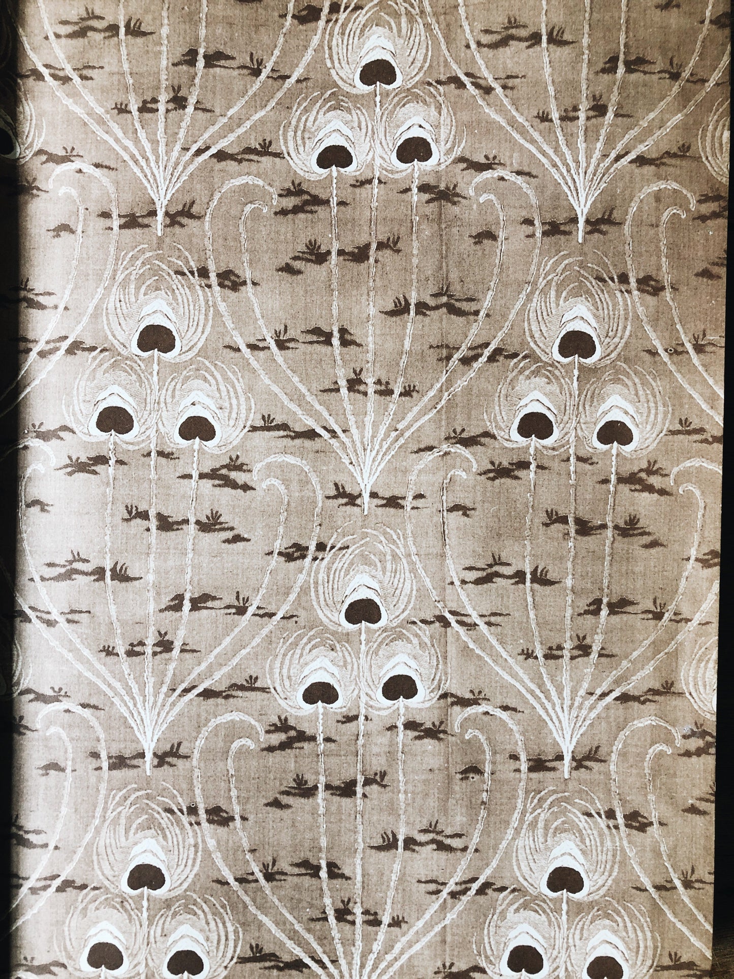 The Flowering of Art Nouveau