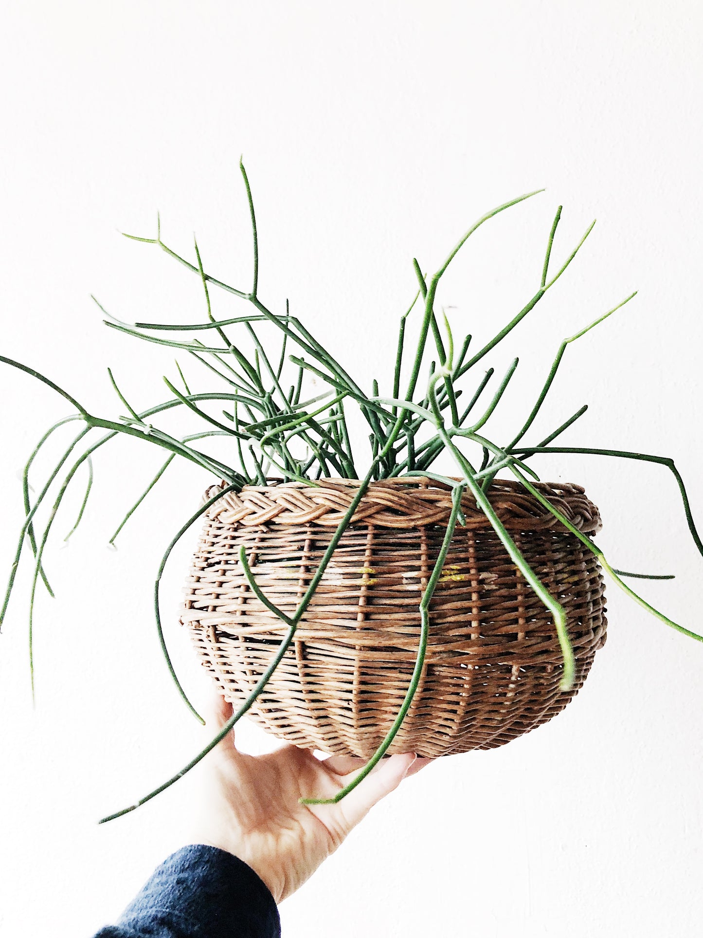 Vintage Bun Shaped Basket