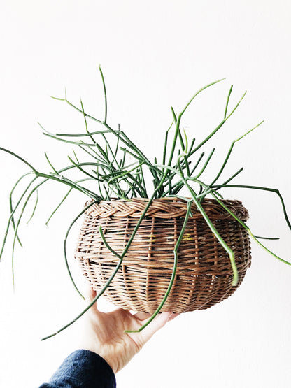 Vintage Bun Shaped Basket