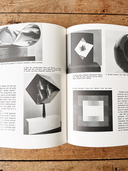 Vintage Constructivism Hardcover