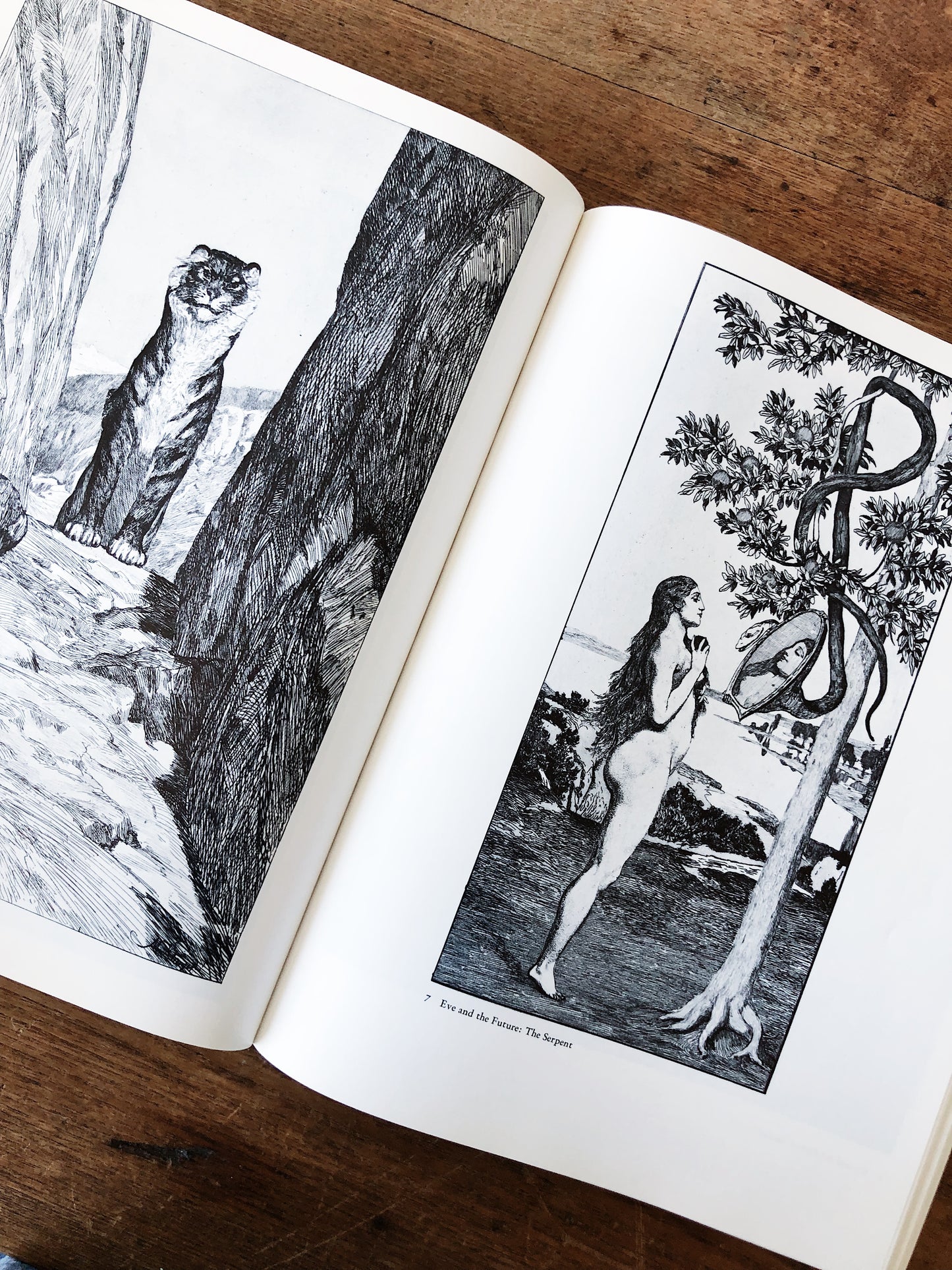 Vintage Max Klinger Art Book
