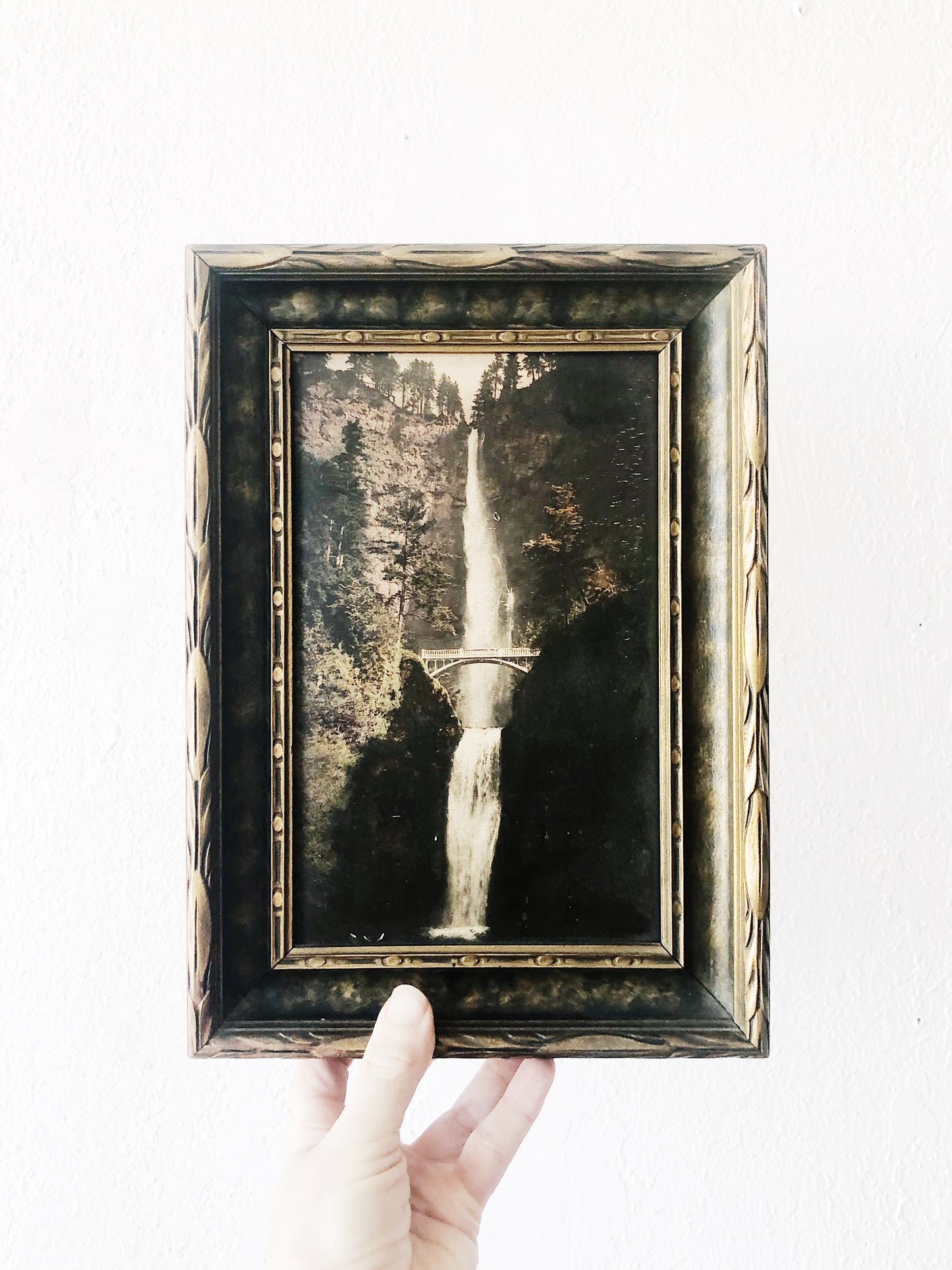 Antique Hand Tinted Photo of Multnomah Falls