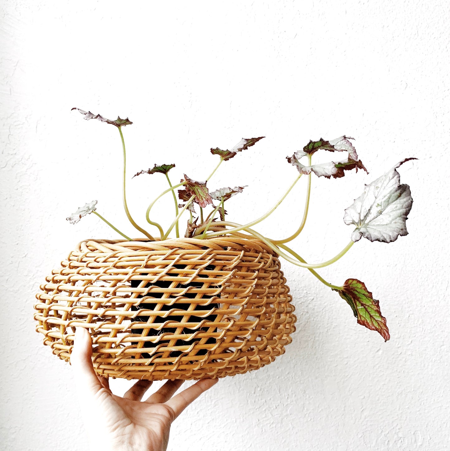 Sculptural Open Weave Basket