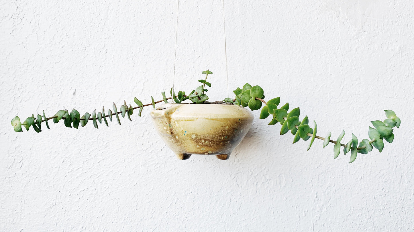 Vintage Hanging Ceramic Planter