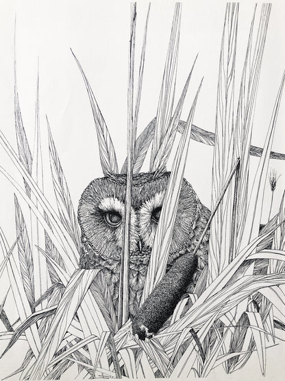 Vintage Parnell Framed Owl Illustration