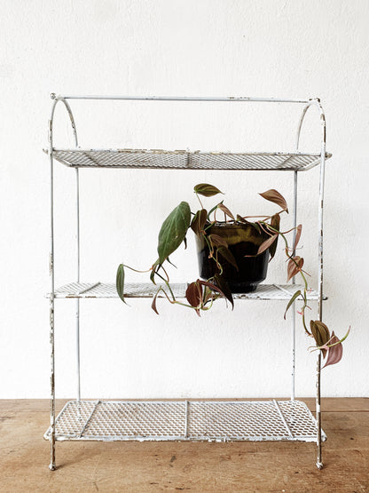 Mid Century Metal Shelf