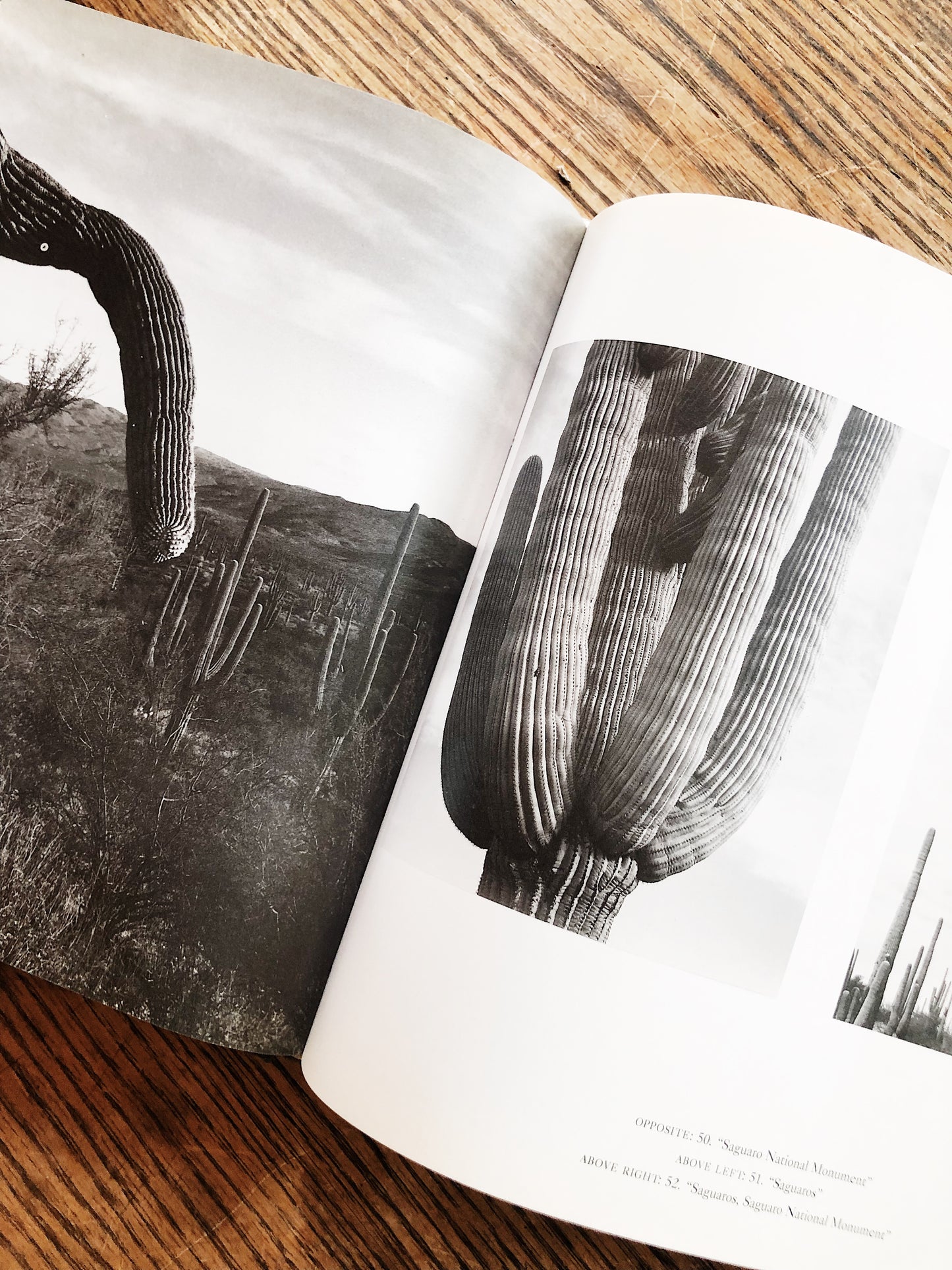 Vintage Ansel Adams National Parks