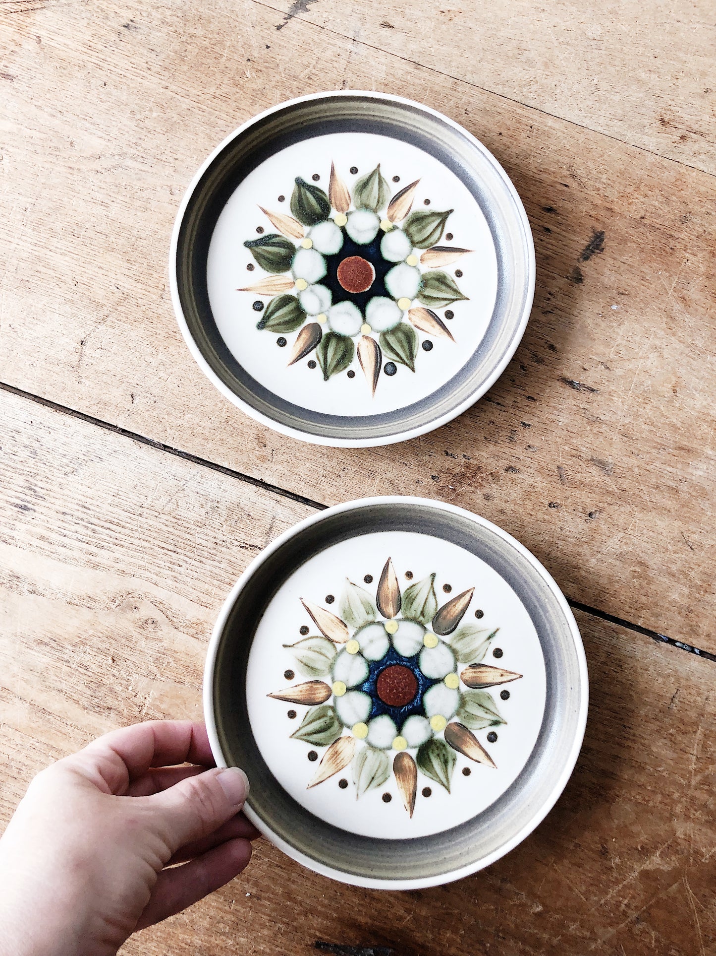 Pair of Mid Century English Plates