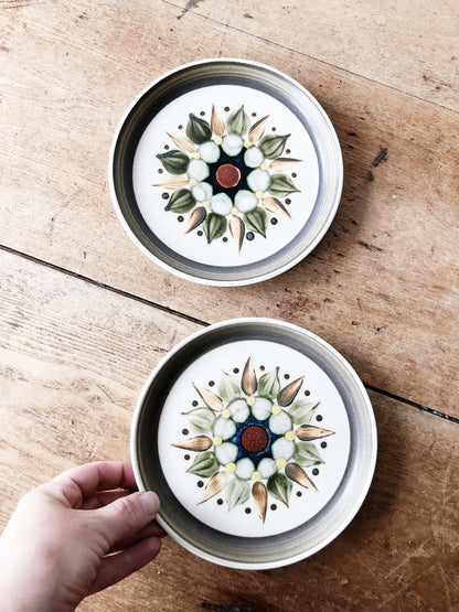 Pair of Mid Century English Plates