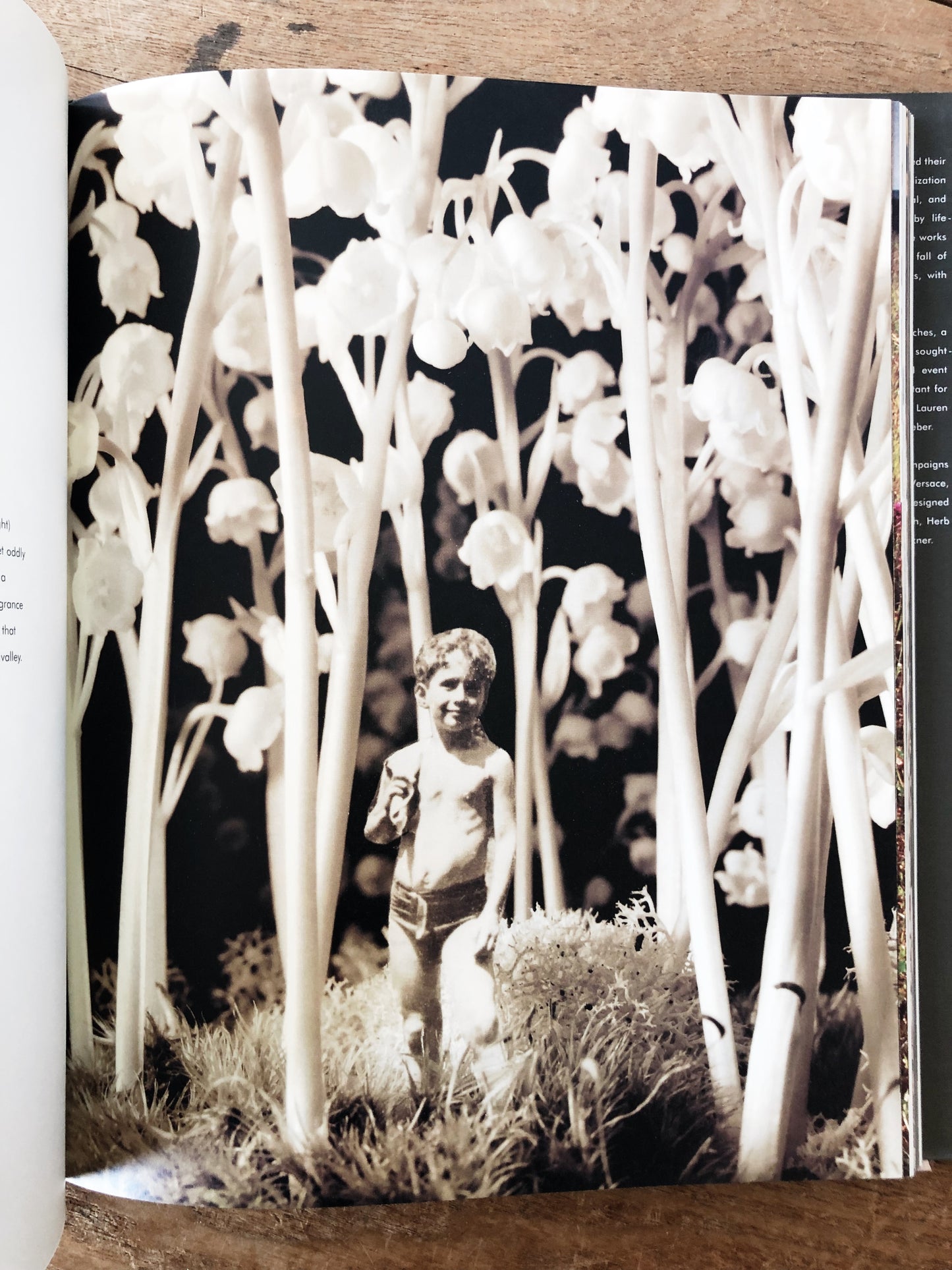 Naked Flowers Exposed Vintage Book