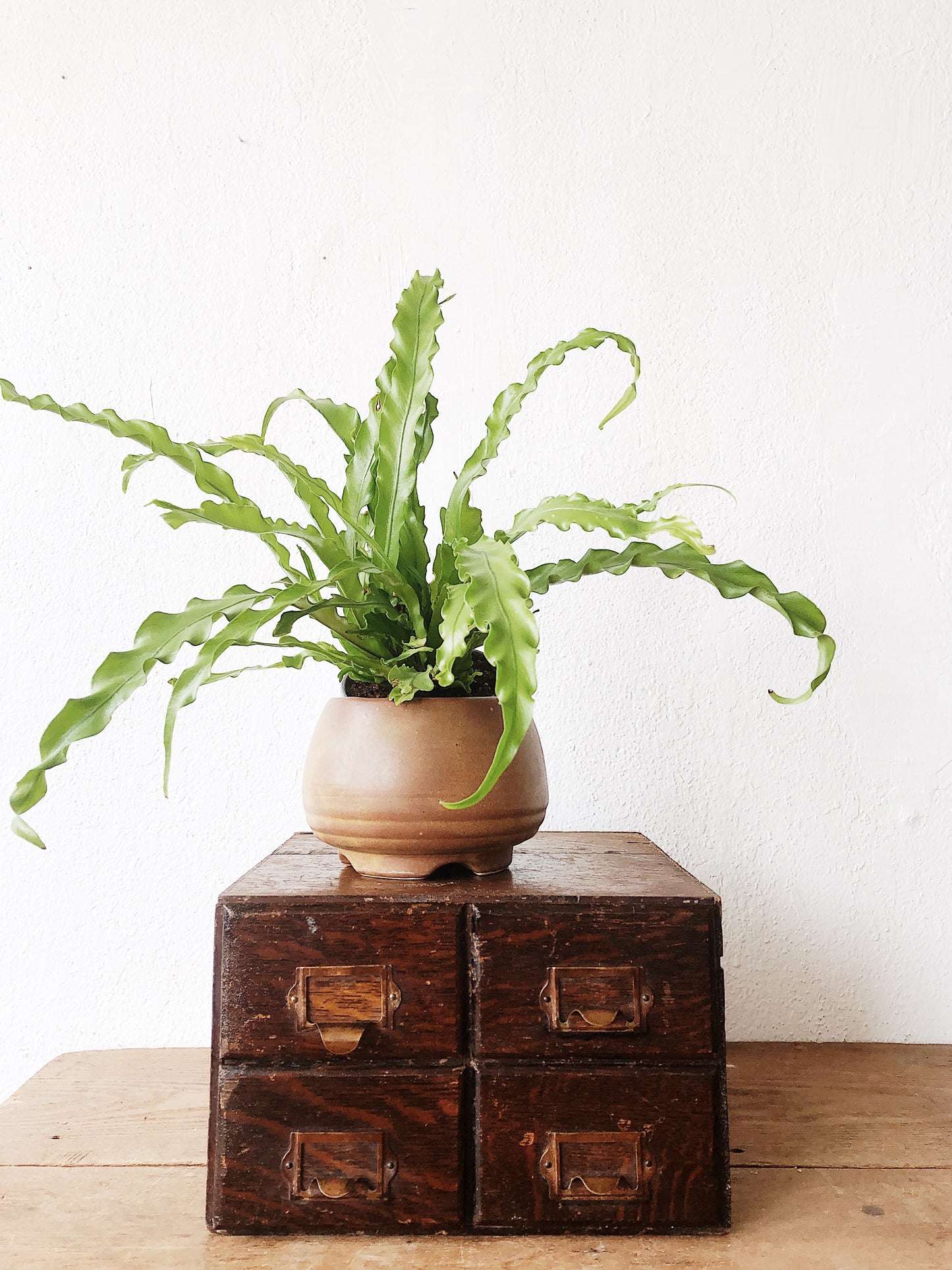 Vintage Filing Drawers