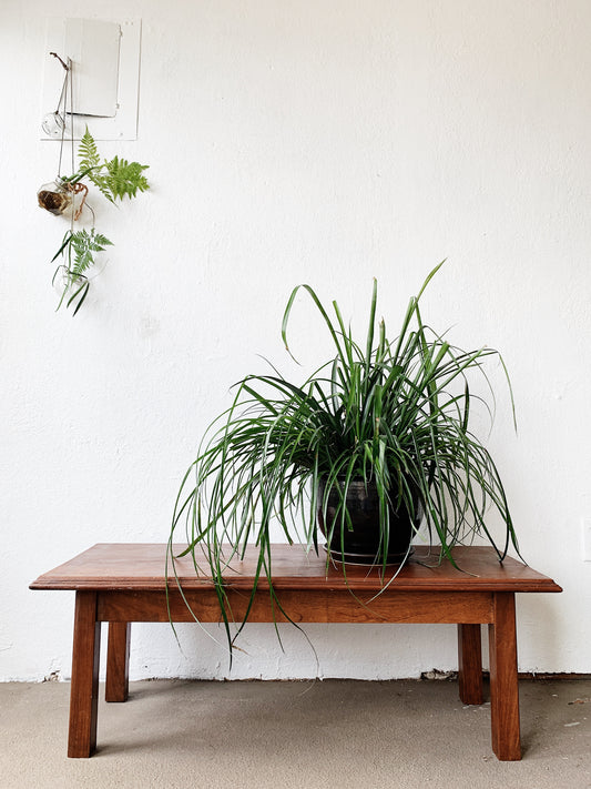 Vintage Handmade Mahogany Table/Bench