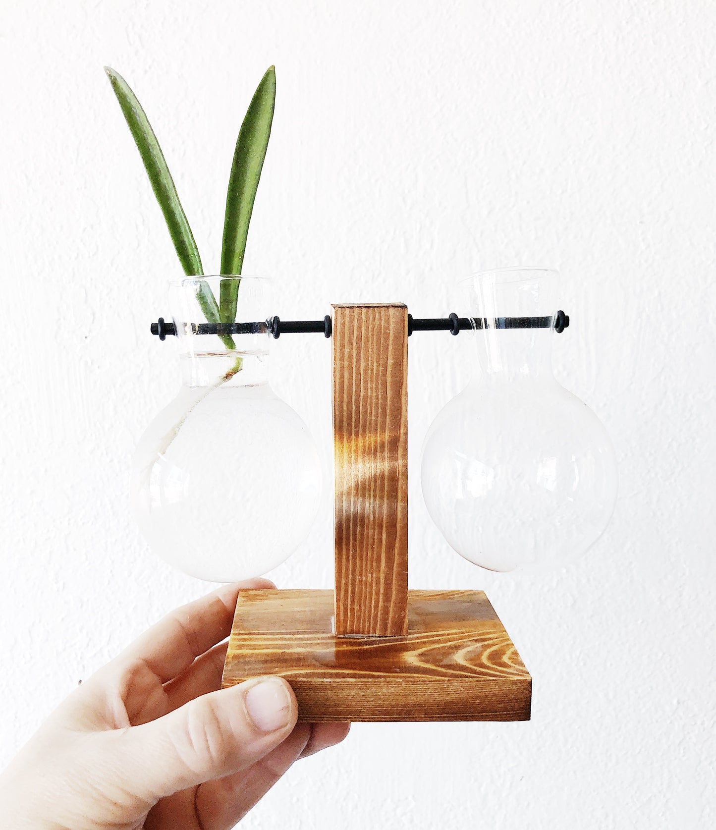 Lab Style Plant Propagator or Vase