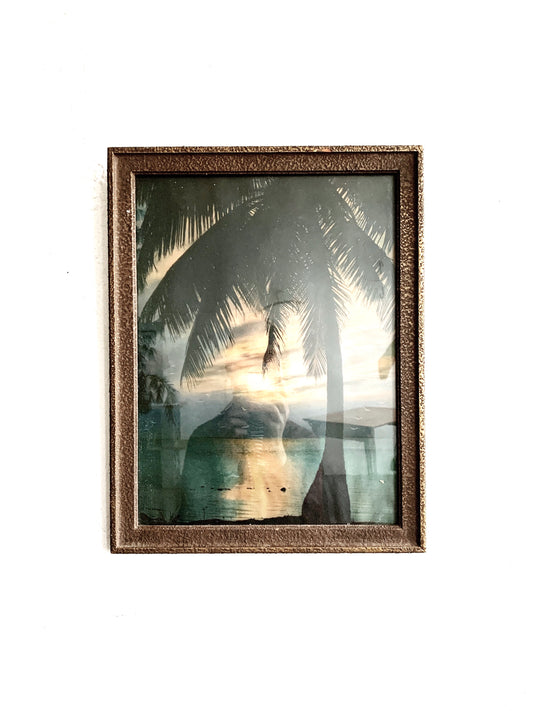 Antique Framed Hand Tint Litho