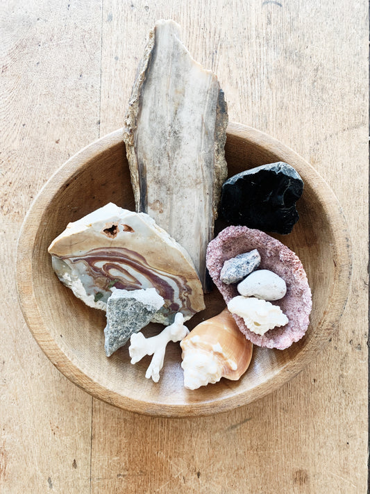 A Naturalists Collection