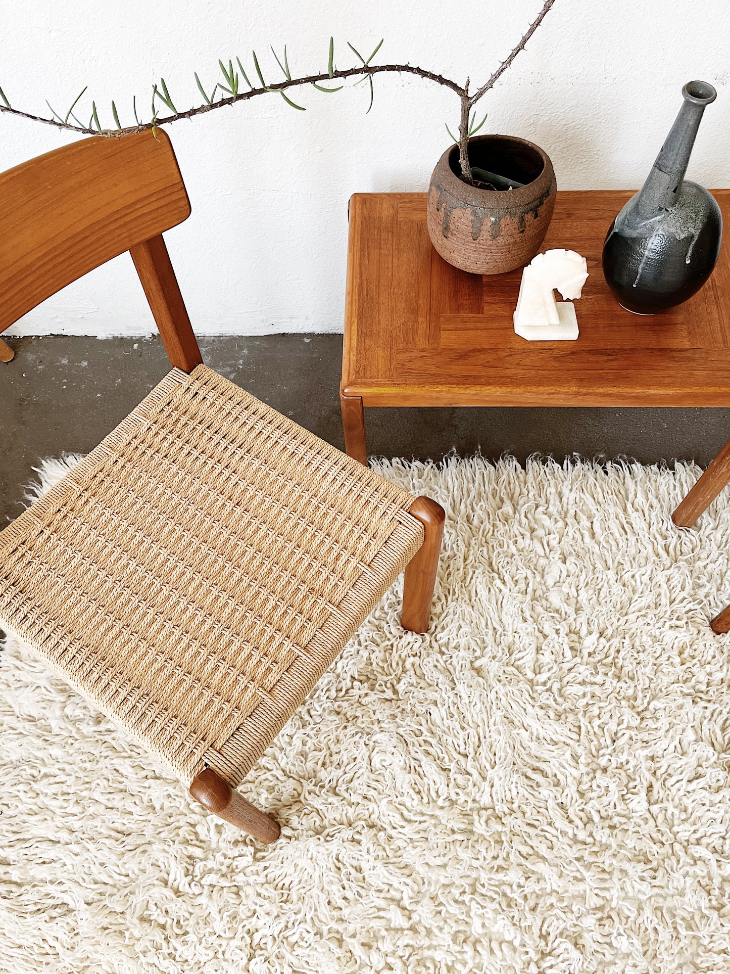 Wool Shag Area Rug