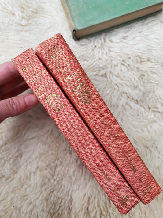 The Wit and Humor of America Vintage Books