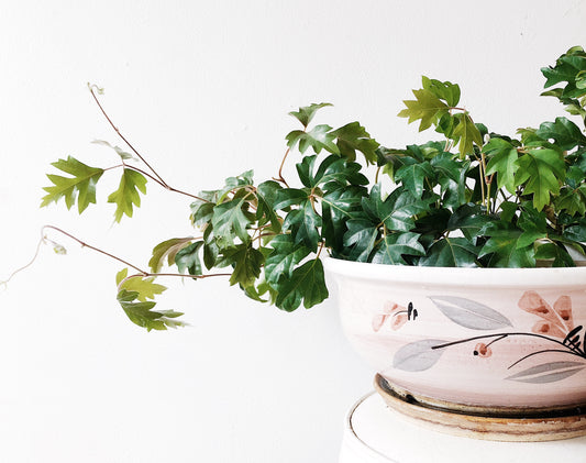 Vintage Ceramic Saucer Planter