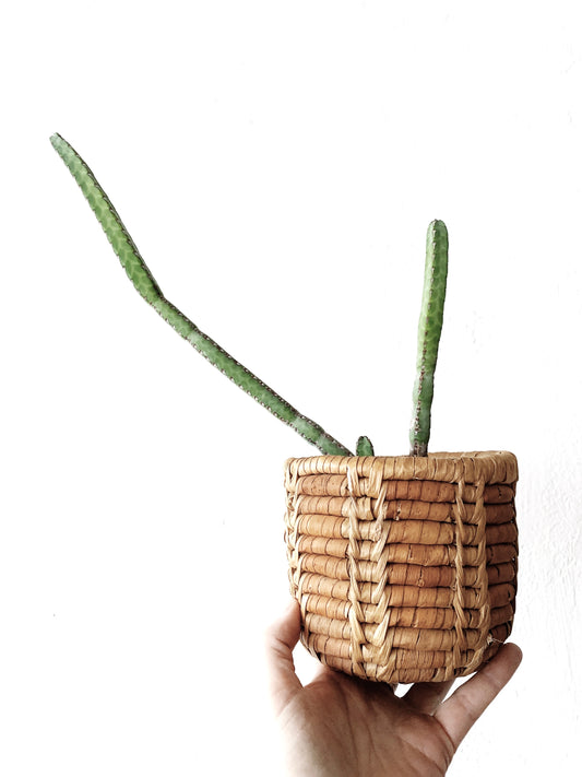 Small Vintage Plant Basket