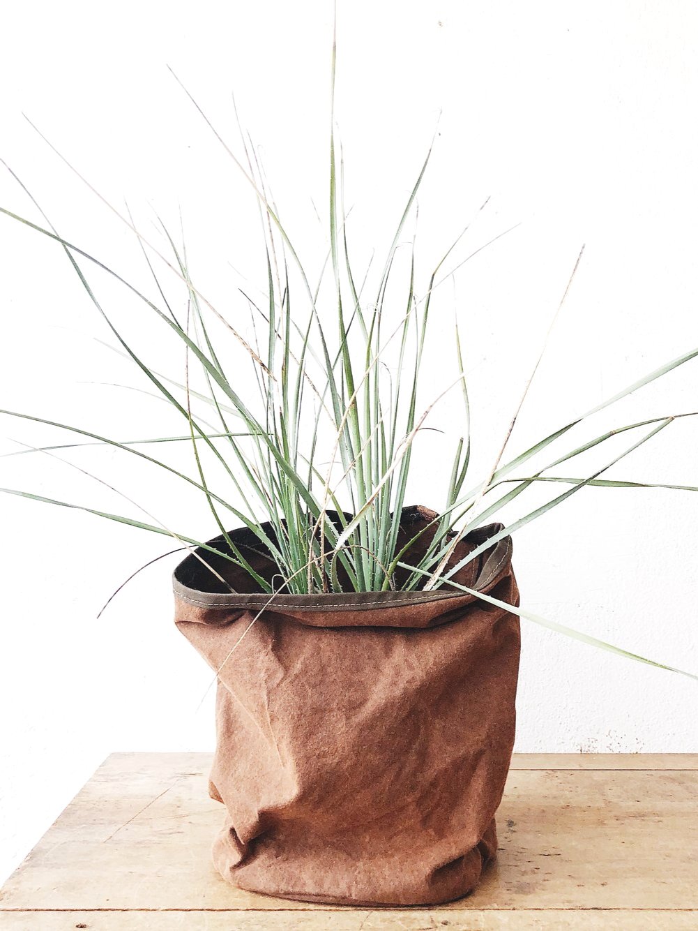 Canvas Bucket Planter