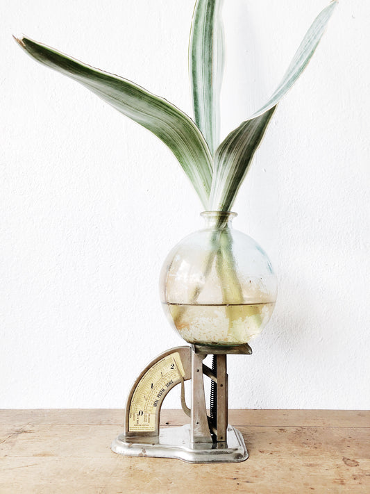 Vintage Postal Scale