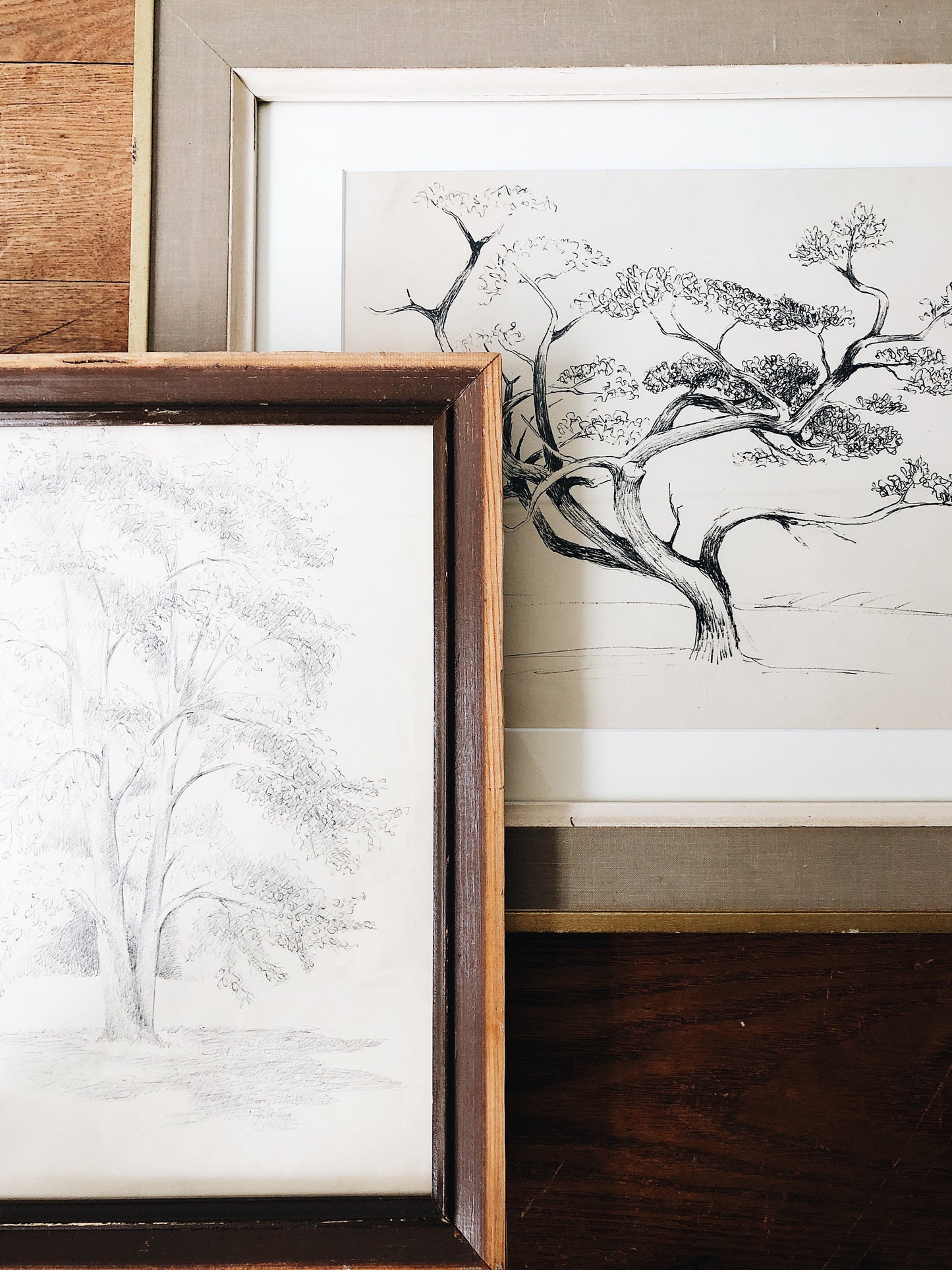 Vintage Original Pen and Ink Drawing - Tree Series