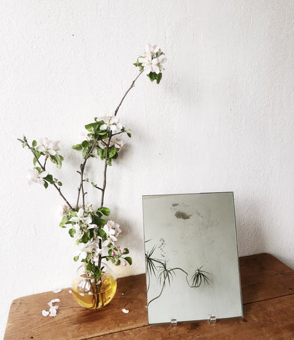 Vintage Plate Glass Mirror