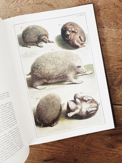 Vintage Classic Natural History Prints Art Book