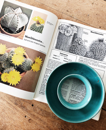 Vintage Succulent Planter and Book