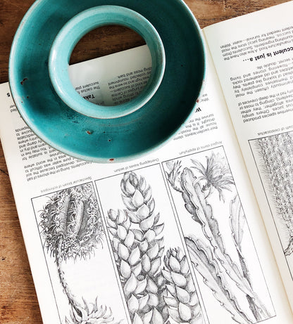 Vintage Succulent Planter and Book