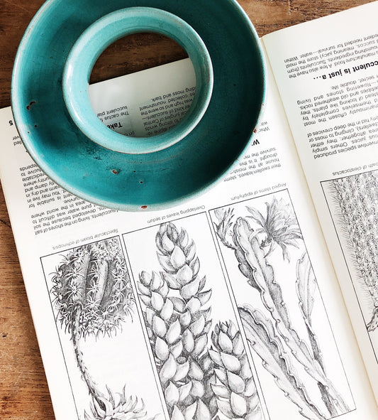 Vintage Succulent Planter and Book