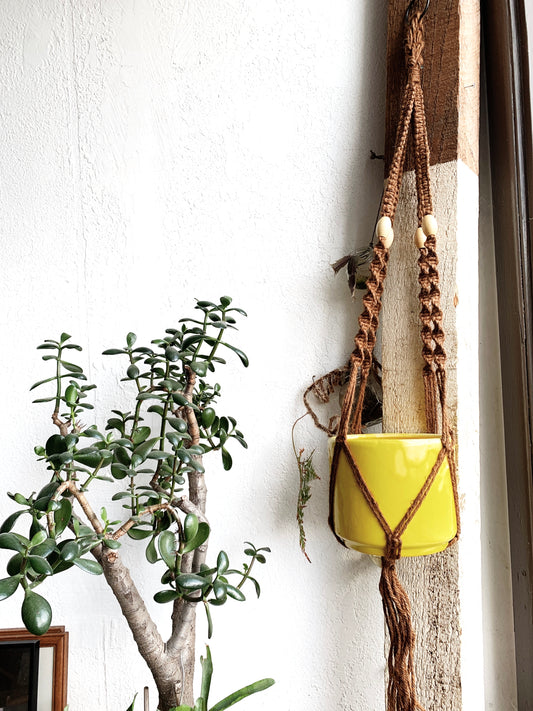 Vintage Jute Plant Hanger with Acid Yellow Pot