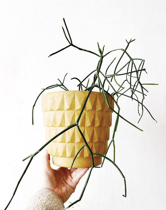 Mid Century Brutalist Fesco Planter