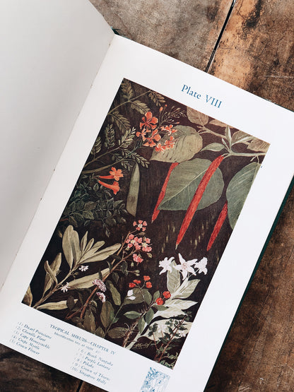 Vintage Botanical Book