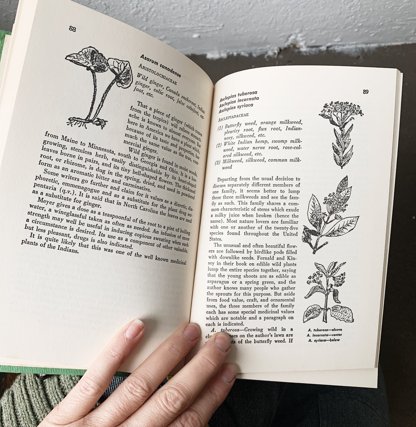Using Plants for Healing Vintage Book