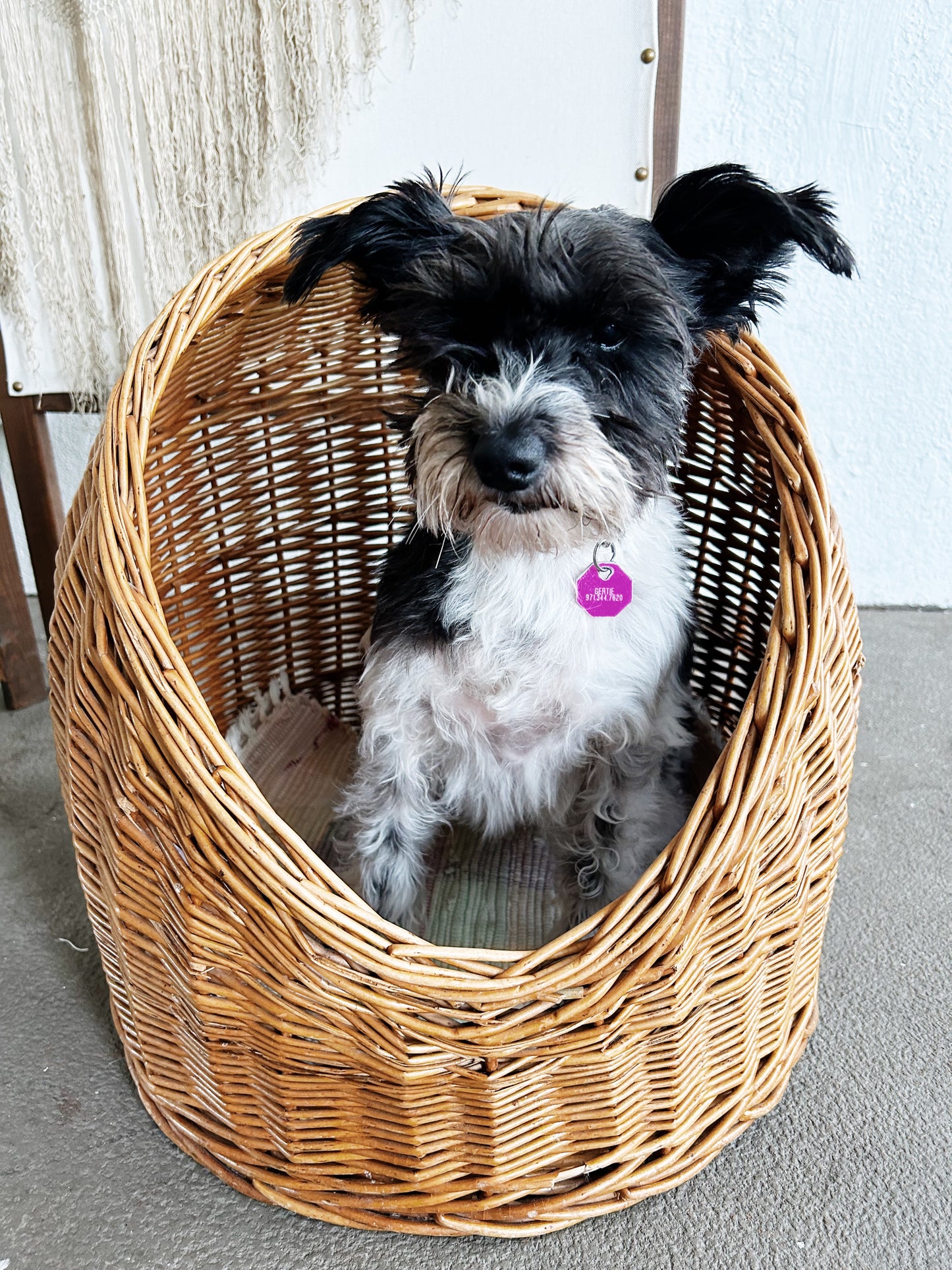 Small Pet Wicker Bed