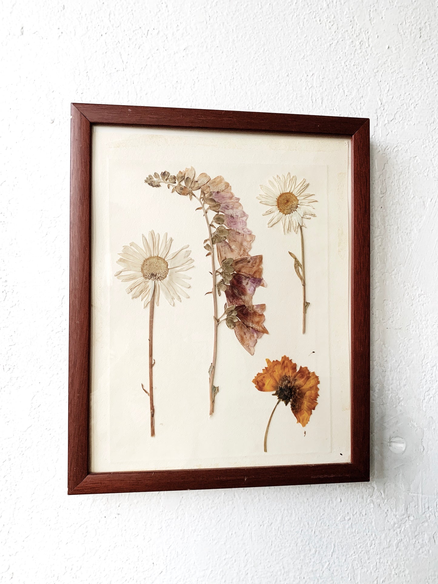 Vintage Framed Dried Flower Art