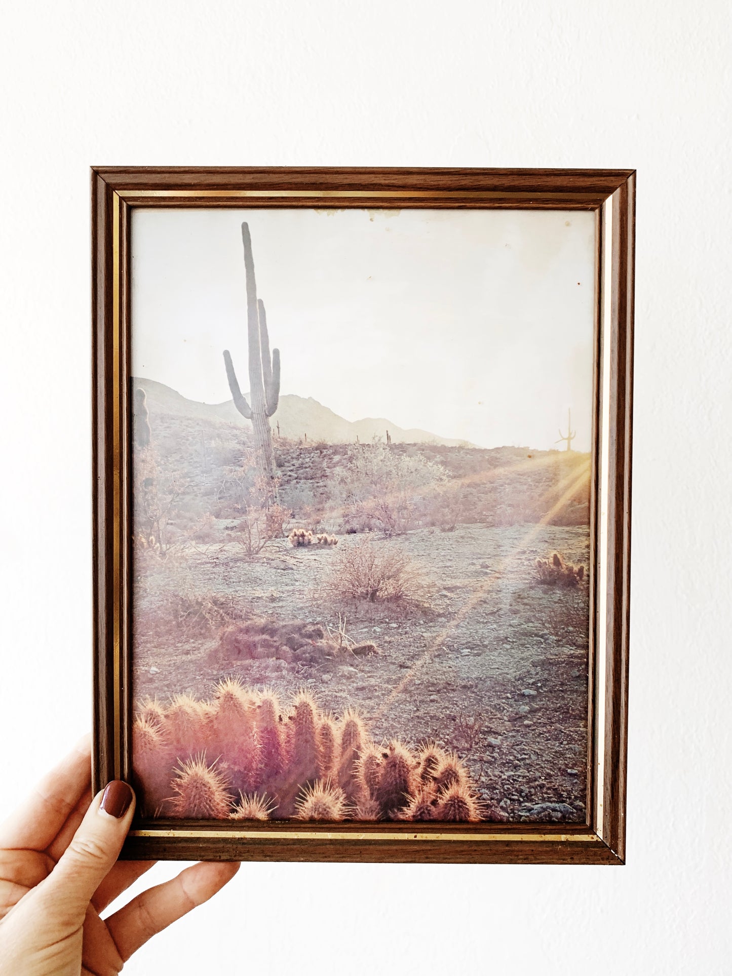 Vintage Framed Desert Print