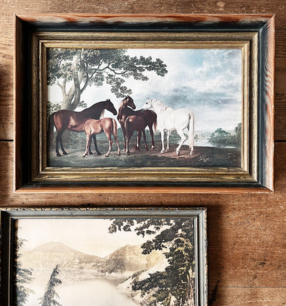 Vintage George Stubbs Litho