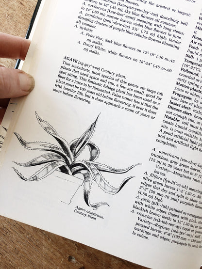 Vintage Houseplant Book