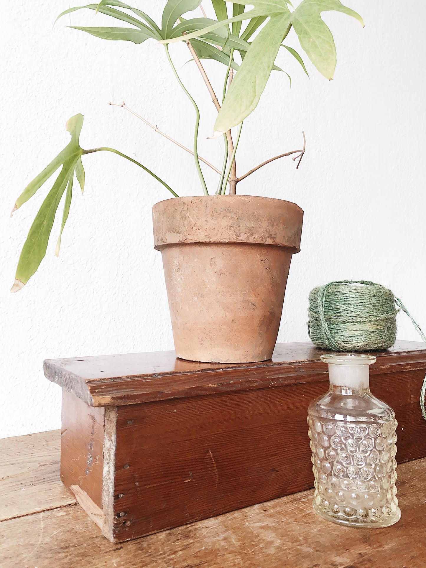 Vintage Wood Display Shelf