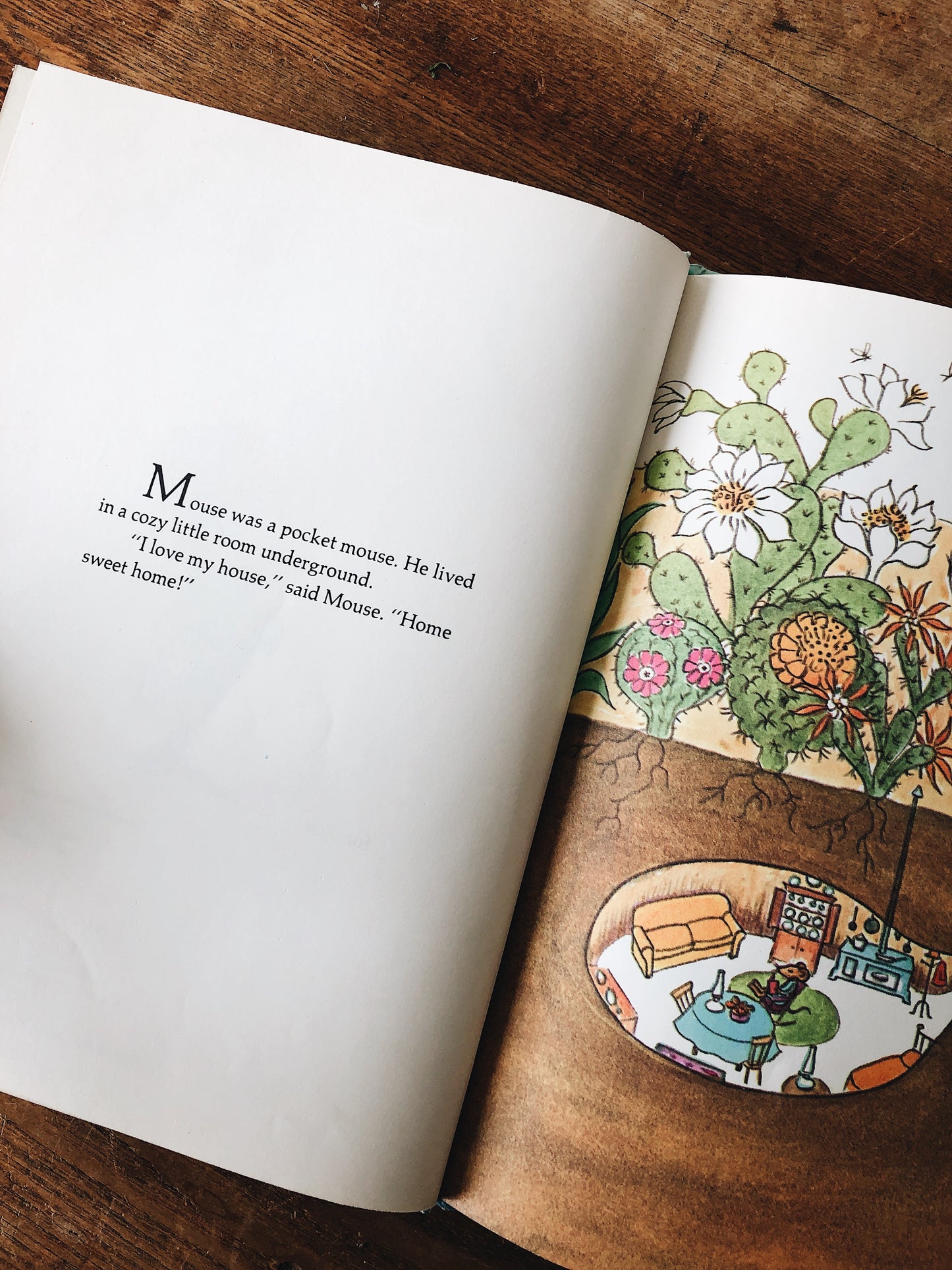 Vintage Children’s Book