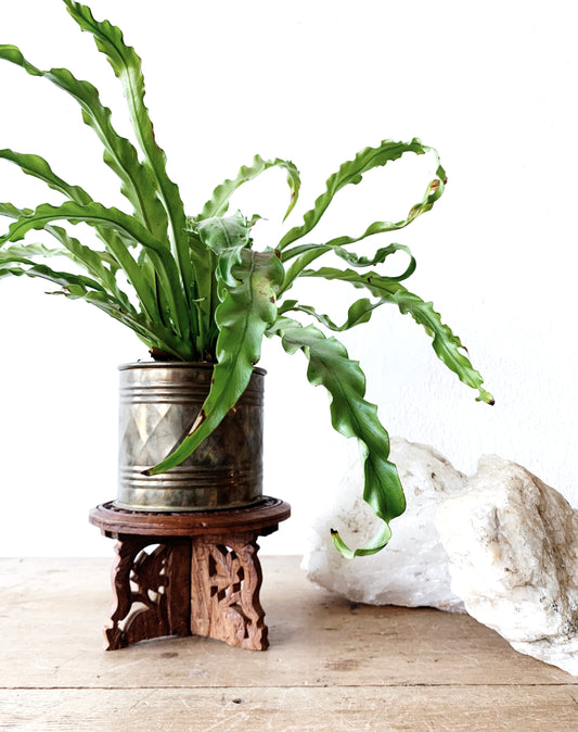 Vintage Carved Wood Stand